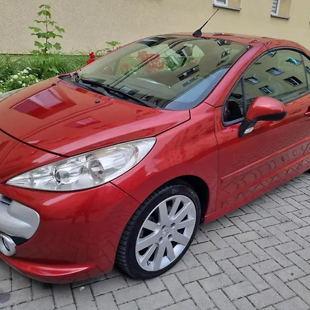 Gabi * Swidnica (Lower Silesia)